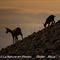 Avec les chamois du Mont Ventoux...( Femelle et son cabri - ch3)