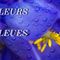 Les fleurs bleues et violettes du Mont Ventoux.....