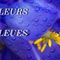 Les fleurs bleues et violettes du Mont Ventoux.....