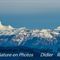 Vue sur le Grand Veymont et le Mont Aiguille...(PV12)