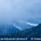 Brume... ( PV92)