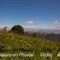 Praieries et vue sur les Alpes depuis le vallon de Combau (PV37)