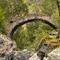 Vieux pont sur le Vénéon (Ecrins)