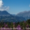 Vue sur le Col des Aravis depuis les Saisies...