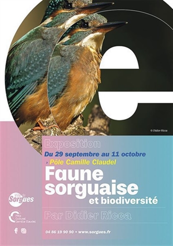 Plus d'infos rubrique "Actualités"