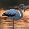 Flamant Rose (F201)