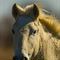 Cheval (portrait - DC17)
